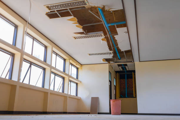 Best Basement water damage restoration  in Indian Springs Village, AL