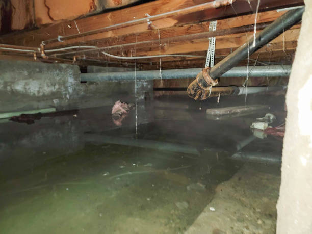 Professional Water damage restoration in AL