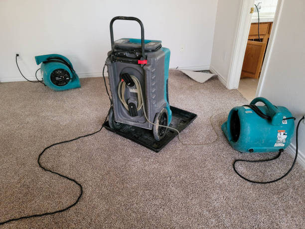 Best Water damage restoration near me  in Indian Springs Village, AL