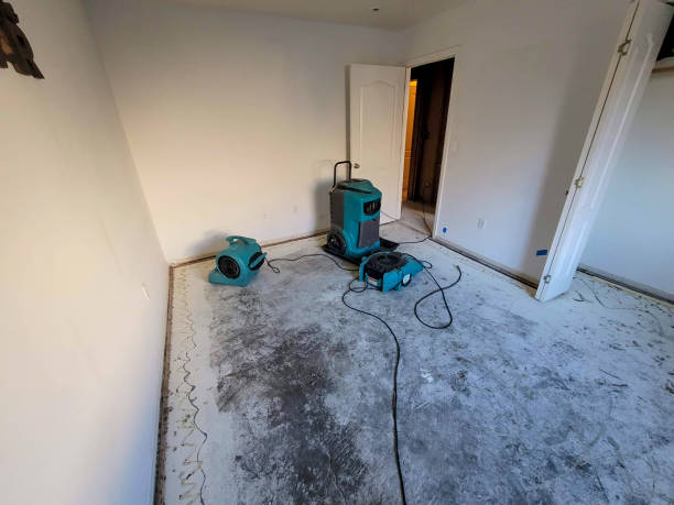 Best Professional water damage repair  in Indian Springs Village, AL