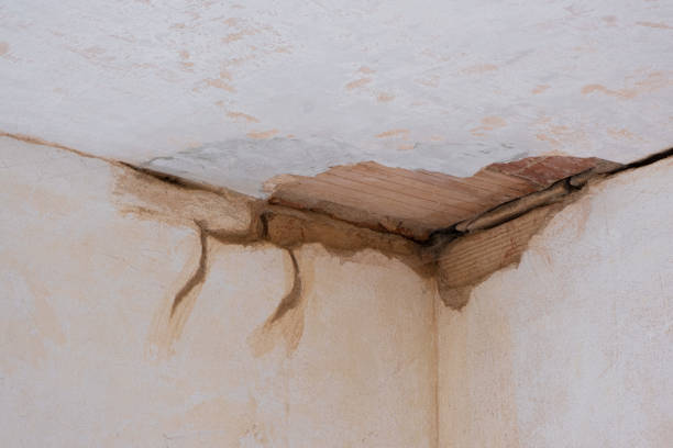 Best Water damage contractors near me  in Indian Springs Village, AL