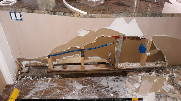Best Basement water damage restoration  in Indian Springs Village, AL
