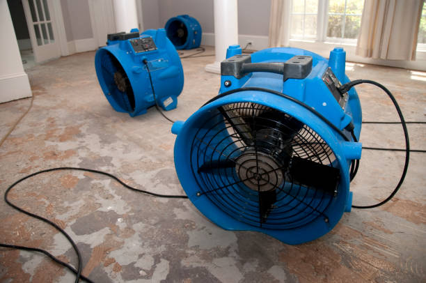  Indian Springs Village, AL Water damage restoration Pros